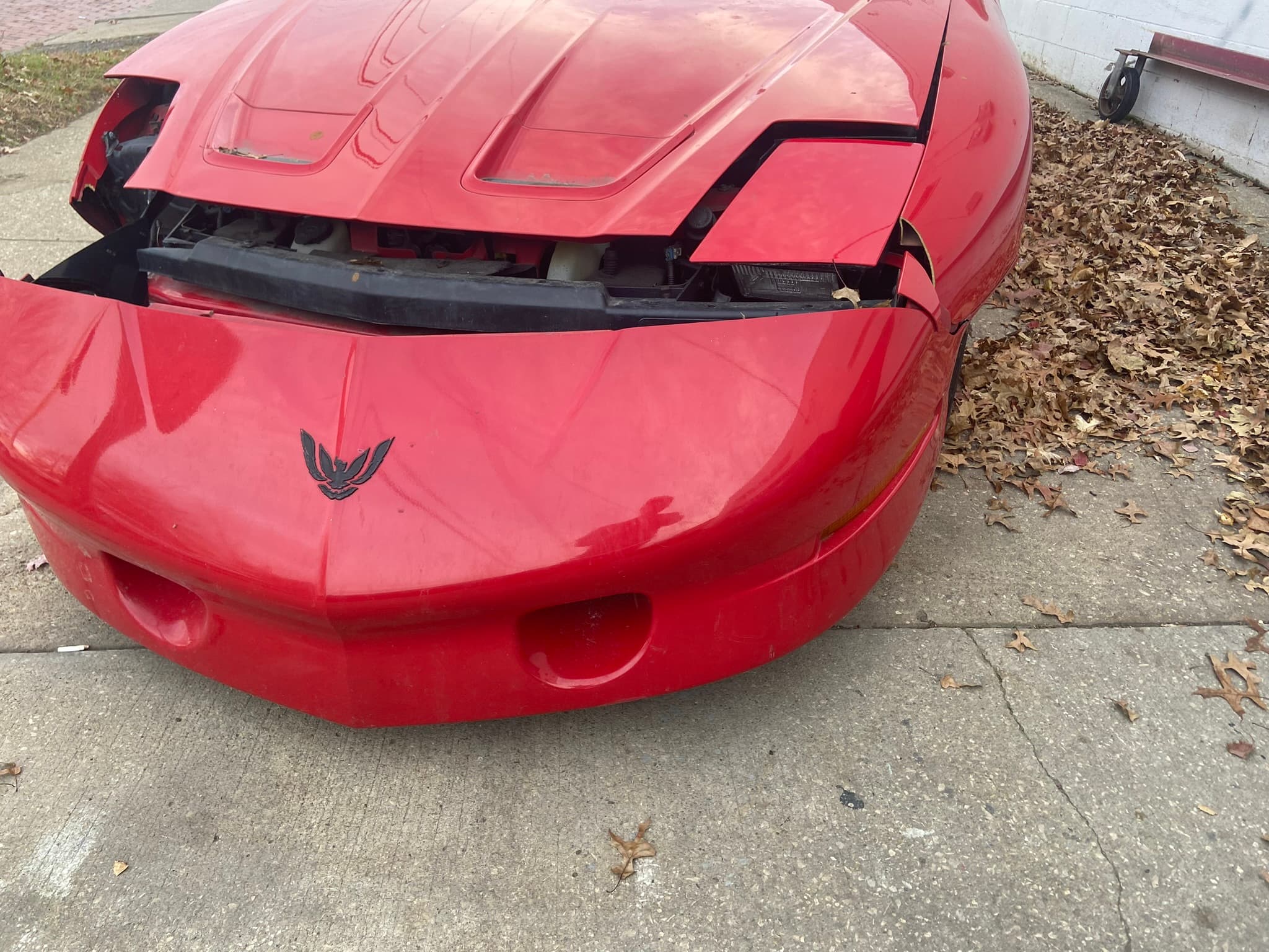 IMG 2146   Copy   Copy