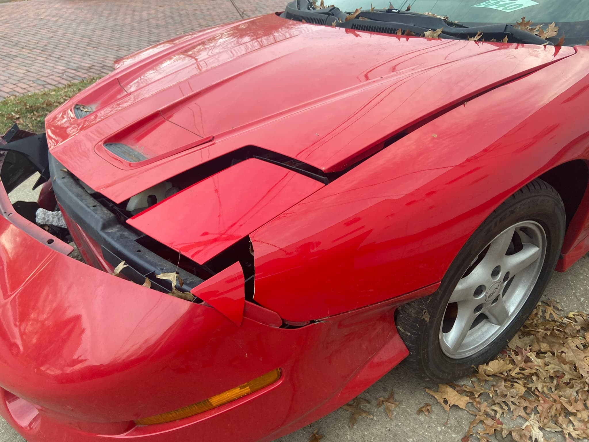 IMG 2148   Copy   Copy